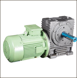 Vertical Worm Gearbox