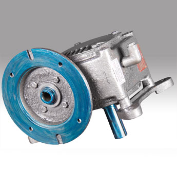 Motorised Worm Gearbox